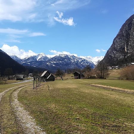 Apartments & Rooms Stare Bohinj Bagian luar foto