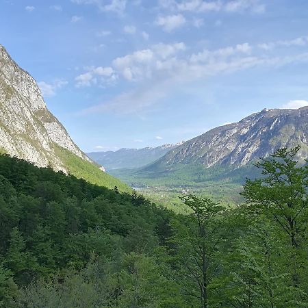 Apartments & Rooms Stare Bohinj Bagian luar foto