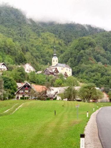 Apartments & Rooms Stare Bohinj Bagian luar foto