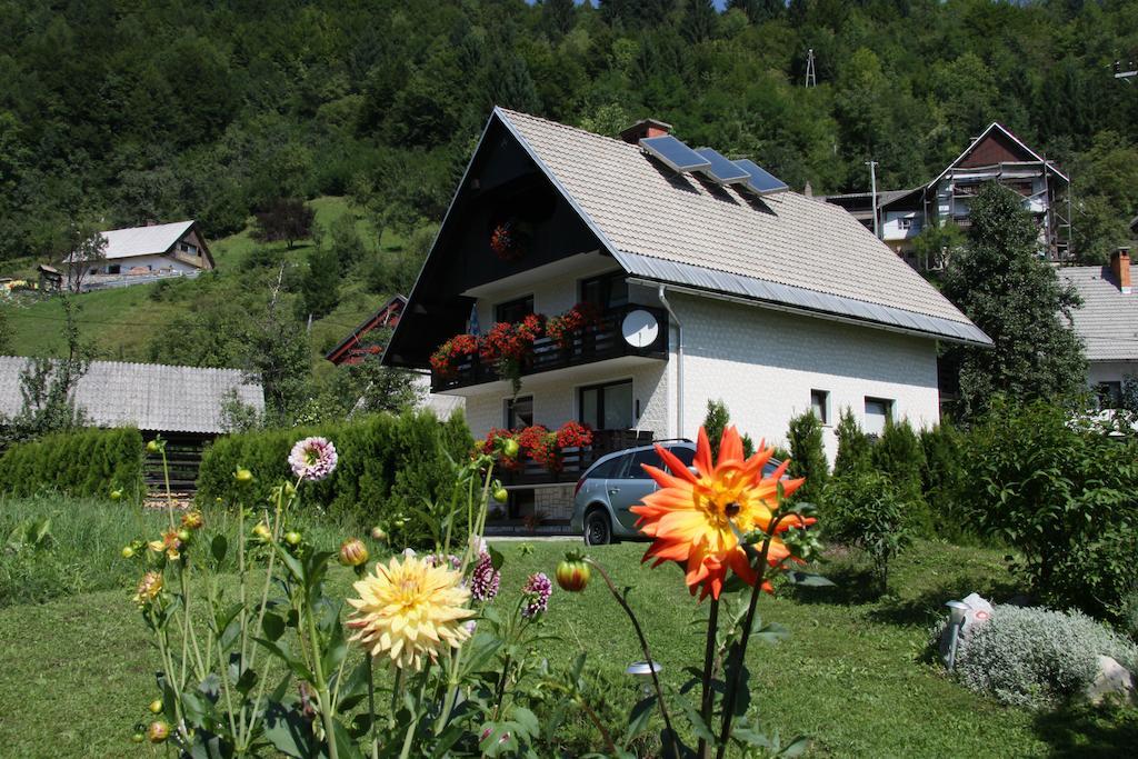 Apartments & Rooms Stare Bohinj Bagian luar foto