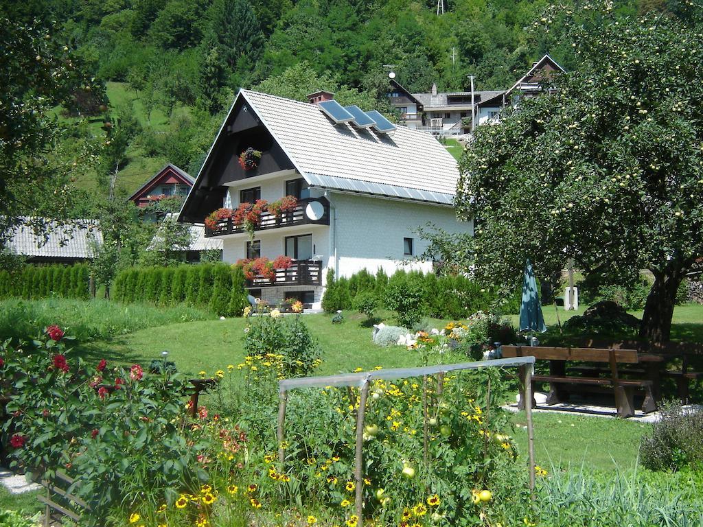 Apartments & Rooms Stare Bohinj Bagian luar foto