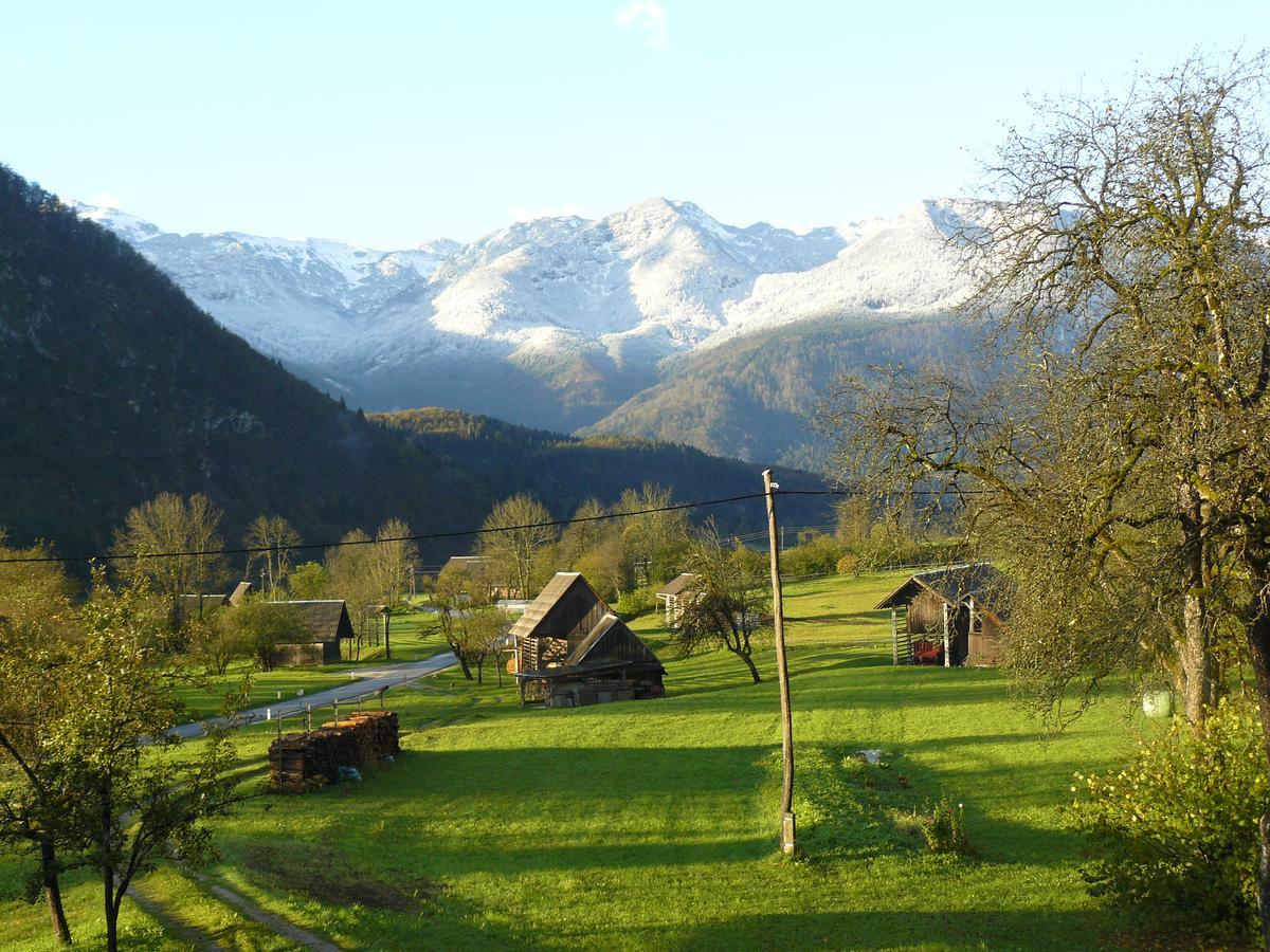 Apartments & Rooms Stare Bohinj Bagian luar foto