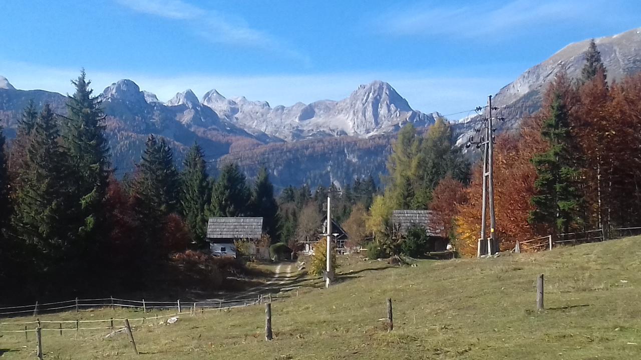 Apartments & Rooms Stare Bohinj Bagian luar foto