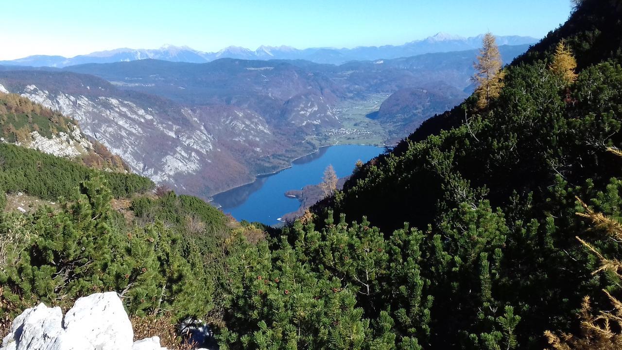 Apartments & Rooms Stare Bohinj Bagian luar foto