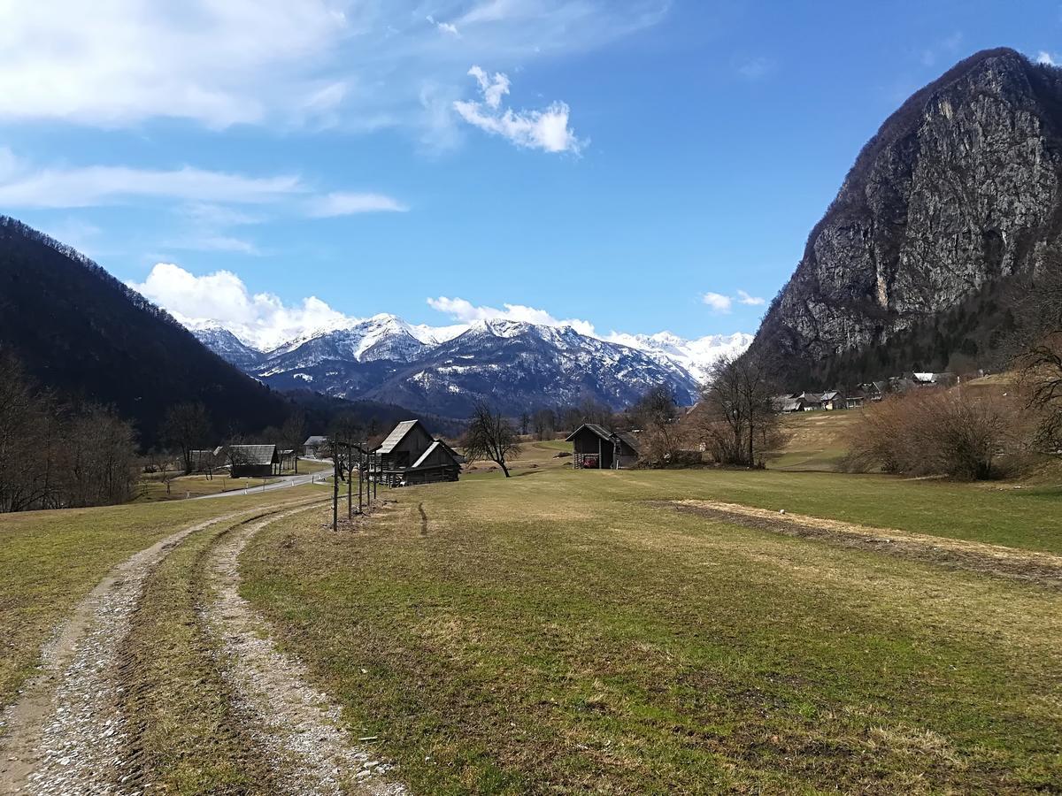 Apartments & Rooms Stare Bohinj Bagian luar foto