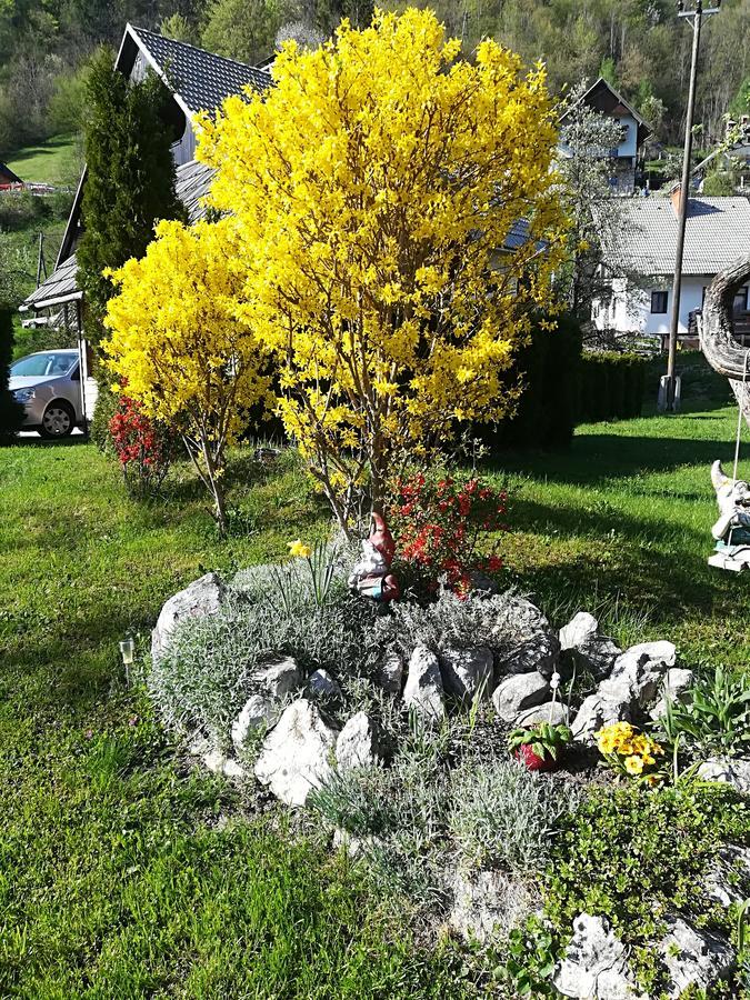 Apartments & Rooms Stare Bohinj Bagian luar foto