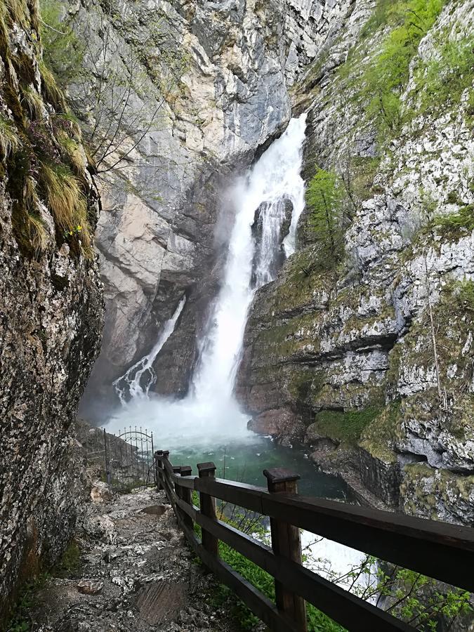 Apartments & Rooms Stare Bohinj Bagian luar foto