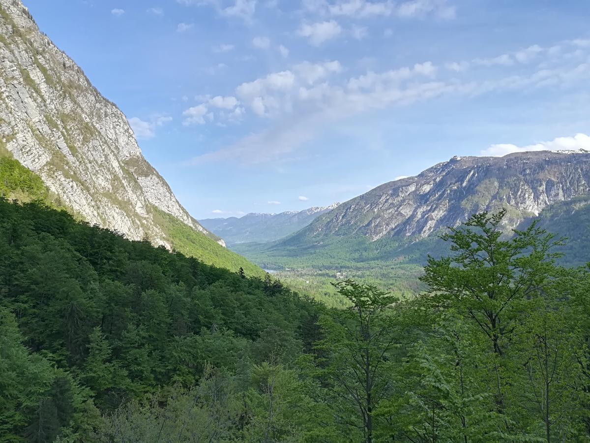 Apartments & Rooms Stare Bohinj Bagian luar foto